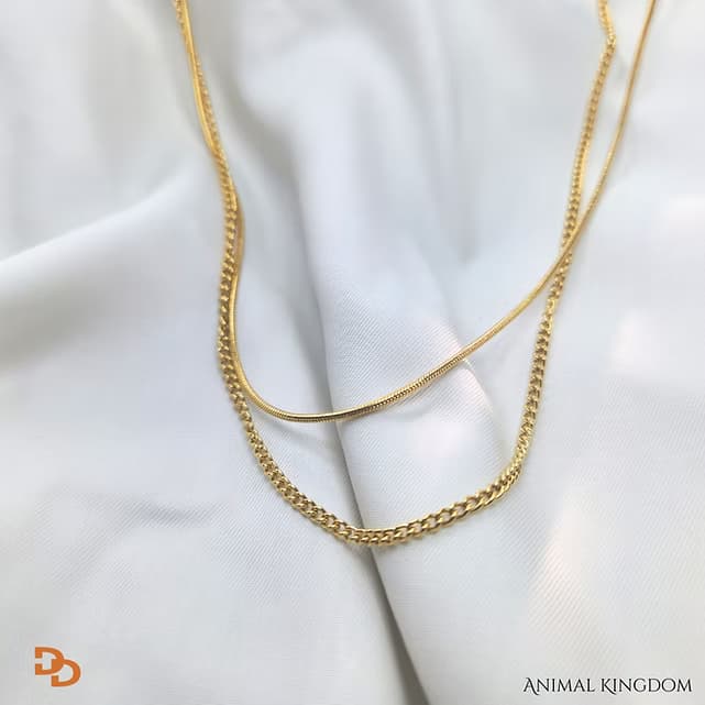 Saskia Dual Layer Necklace