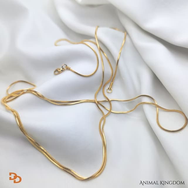 Sudeshna Long Chain
